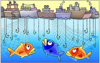 Declining fish catches