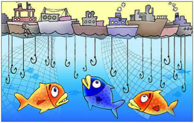 Declining fish catches