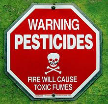 Pesticides: Benefits and drawbacks; Possibilities for control; EU policies