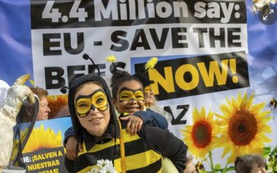 EU bans pesticides which harms bees