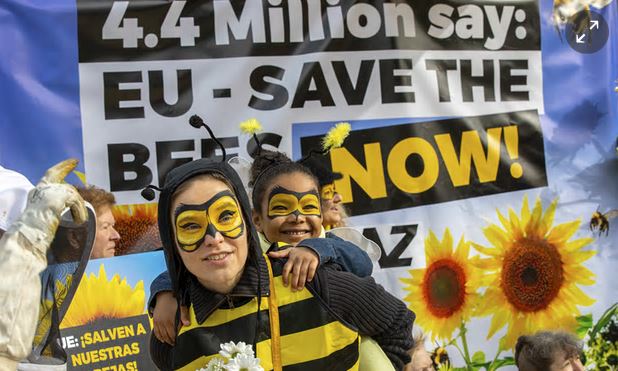 EU bans pesticides which harms bees