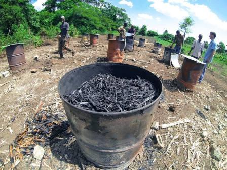 How biochar fertilization works…and practical techniques from Nepal