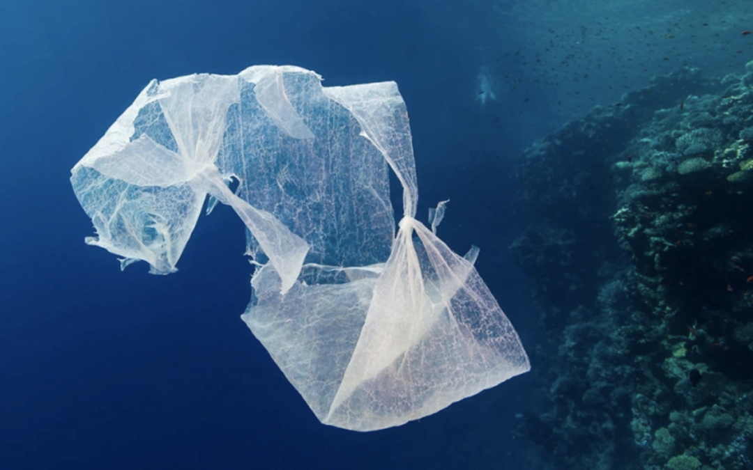 Solutions to reducing plastic pollution in the oceans