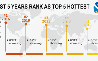 Climate change: effects