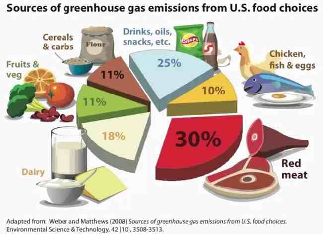Greenhouse gases from food